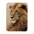 Recherche de grand format magnets De près