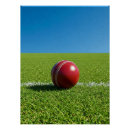 Recherche de cricket posters Terrain