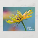 Suche nach ein mit augen postkarten Blume