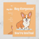Recherche de corgi invitations Chiot