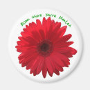 Recherche de marguerite rouge magnets Pour tous