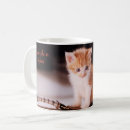 Recherche de chat tigré orange tasses Mignon