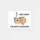 Suche nach schlummer poster Nickerchen
