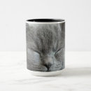 Recherche de visage de chat tasses Moderne
