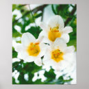 Suche nach lilium poster Floral