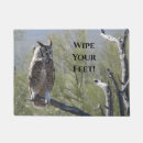 Recherche de hibou paillassons Nature