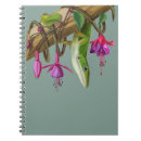 Recherche de cameleon carnets Reptile