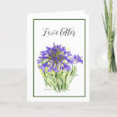 Recherche de agapanthus cartes postales Floral
