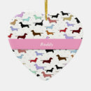 Suche nach entzückend ornamente Hunde