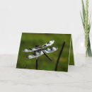 Recherche de fly vœux cartes Voler