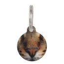 Recherche de chats médaillons Animal