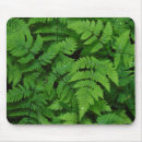 Suche nach regentropfen mousepads Grün