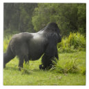 Suche nach mcdonalds fliesen Pflanzenfresser