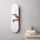 Recherche de dachshund skateboards Chien de saucisse