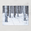 Recherche de jura cartes postales Neige