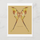 Recherche de aile cartes postales Lune