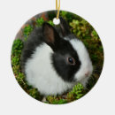Suche nach zwerg ornamente Kaninchen