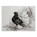 Recherche de poule posters Oiseau