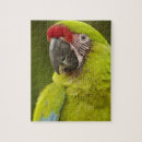 Suche nach ara puzzle Vogel