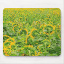 Suche nach moses mousepads Stuart westmorland