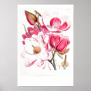 Suche nach magnolia poster Magnolien