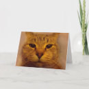 Suche nach humorvolle katzen karten Katzenliebhaber