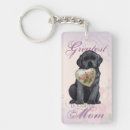 Suche nach labors Schwarzer labrador retriever