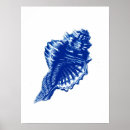 Suche nach weiße muschel poster Muscheln