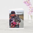 Suche nach lustiges wandern karten Niedlich