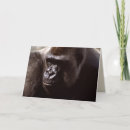 Recherche de monkey le vœux cartes Photographie
