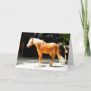 Suche nach mähne karten Schön