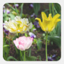 Suche nach rosa tulpe aufkleber Für sie/ihn