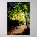 Recherche de aménagement art Printemps