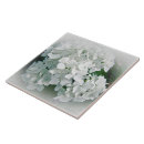Suche nach hydrangea blume fliesen Hydrangeas