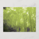 Suche nach geister postkarten Fotografie