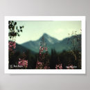 Suche nach fireweed poster Alaska