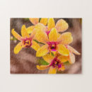 Suche nach orchideen blume puzzle Sommer