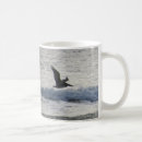 Recherche de pélicans tasses Pélican brun