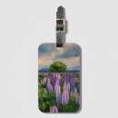 Suche nach neuseeland gepäckanhänger Lupine
