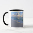 Recherche de cana de punta tasses Île
