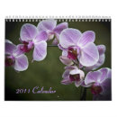 Suche nach nahaufnahme kalender Blume