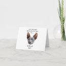 Recherche de sphynx chat vœux cartes Chats