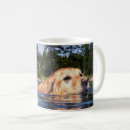 Recherche de de joint tasses Chien
