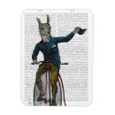 Recherche de llama magnets Lamas