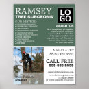 Recherche de arbre photographie Pour tous