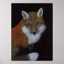 Recherche de red fox art Vixen
