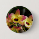 Recherche de orchidée badges Nature