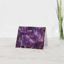 Recherche de pâque photographie Violet
