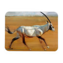 Suche nach oryx magnete Hörner