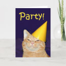 Recherche de chat de gingembre invitations Parti
